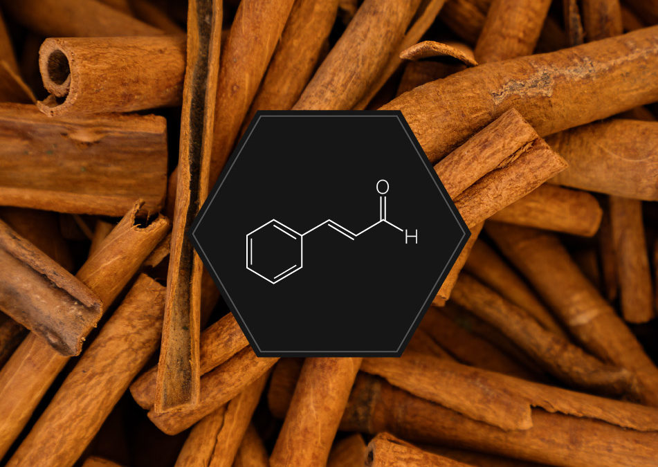 Cinnamon: The enhancer